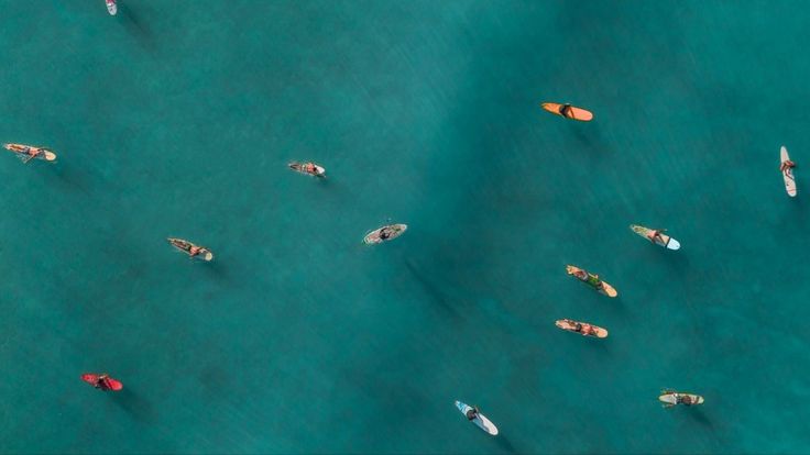 People paddling across calm blue water